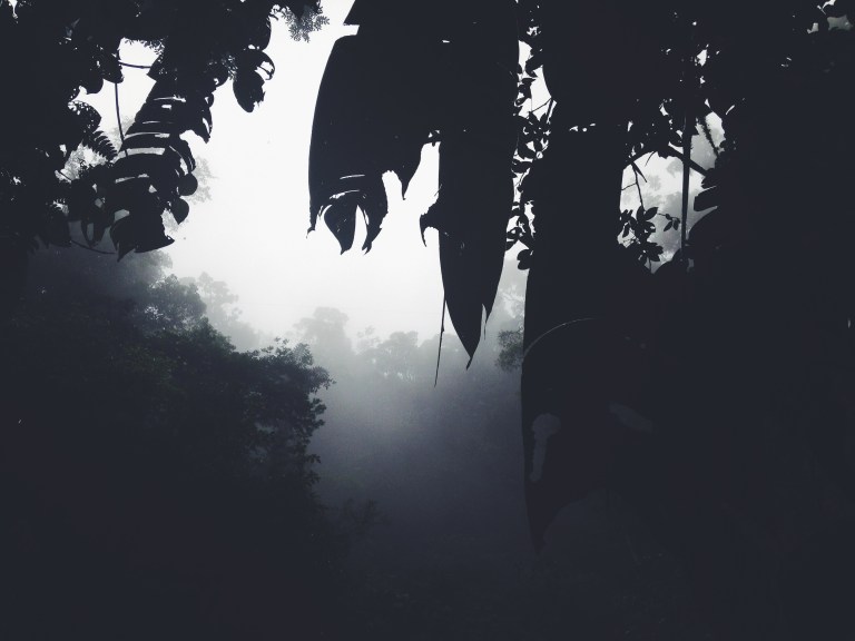 Processed with VSCOcam with f2 preset